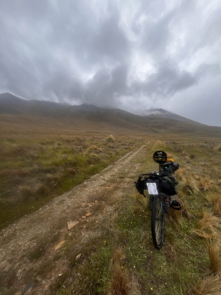 Day 13 - xmas day Img 9243 768x1024