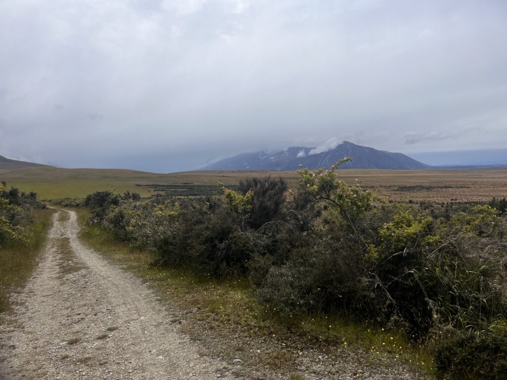 Day 13 - xmas day Img 9244 1024x768