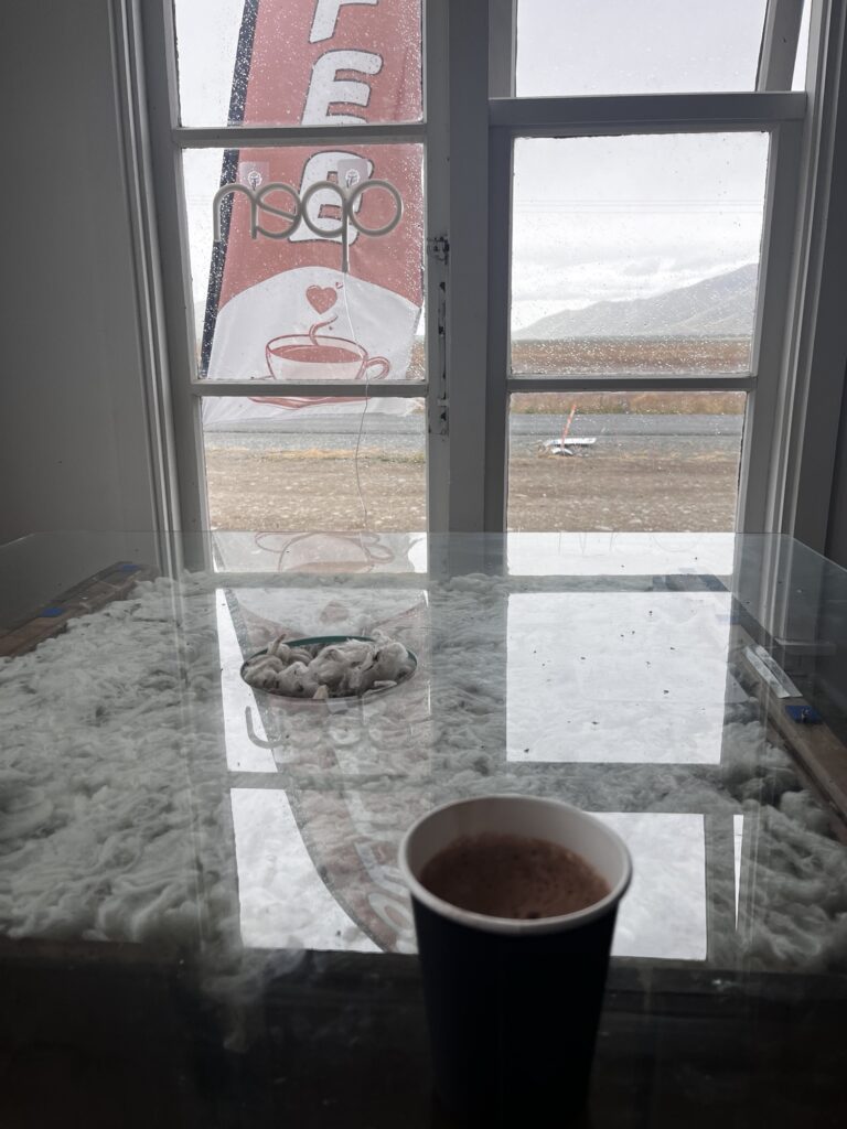 Day 13 - xmas day Img 9254 768x1024