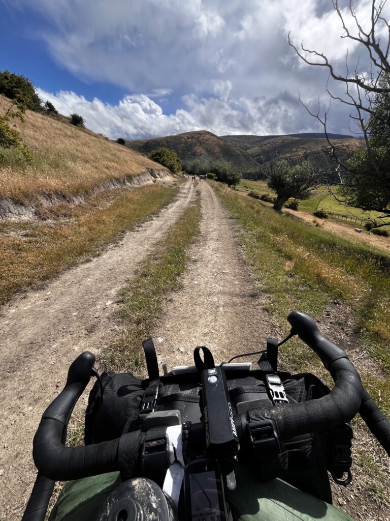 Day 13 - xmas day Img 9259 768x1024