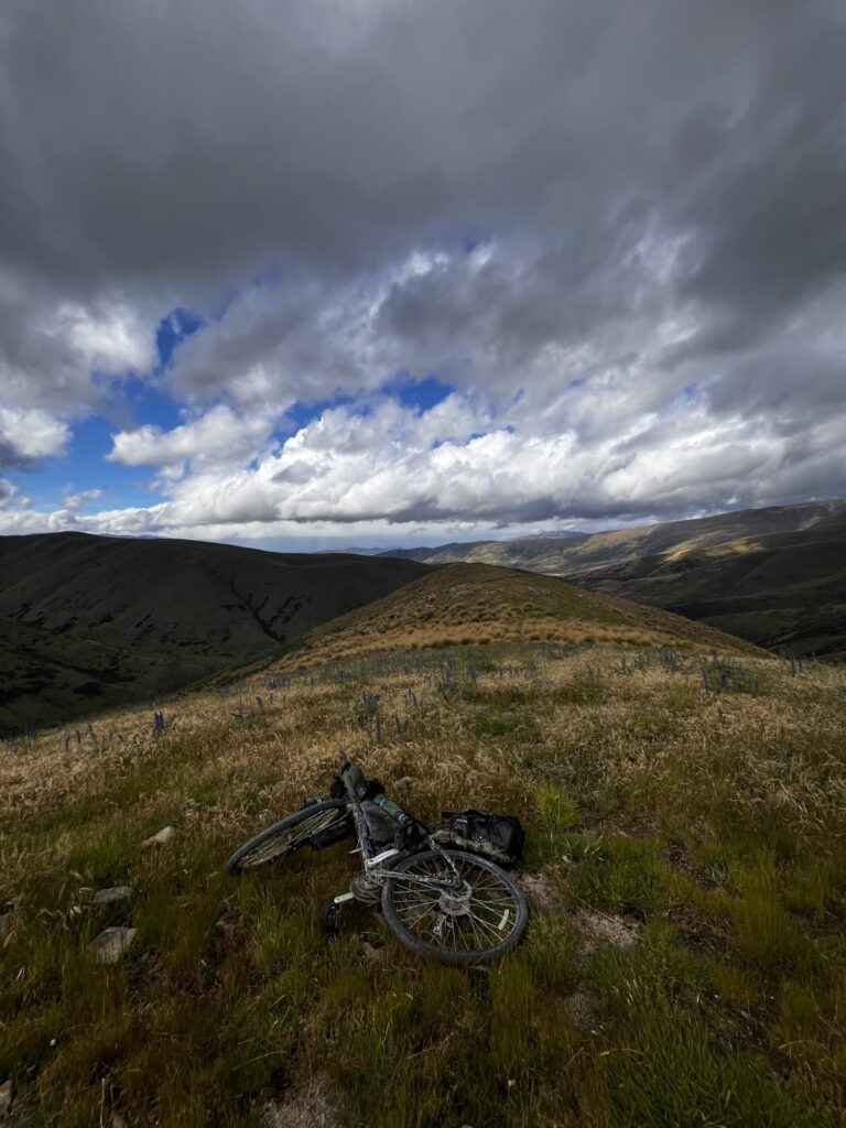 Day 13 - xmas day Img 9272 768x1024