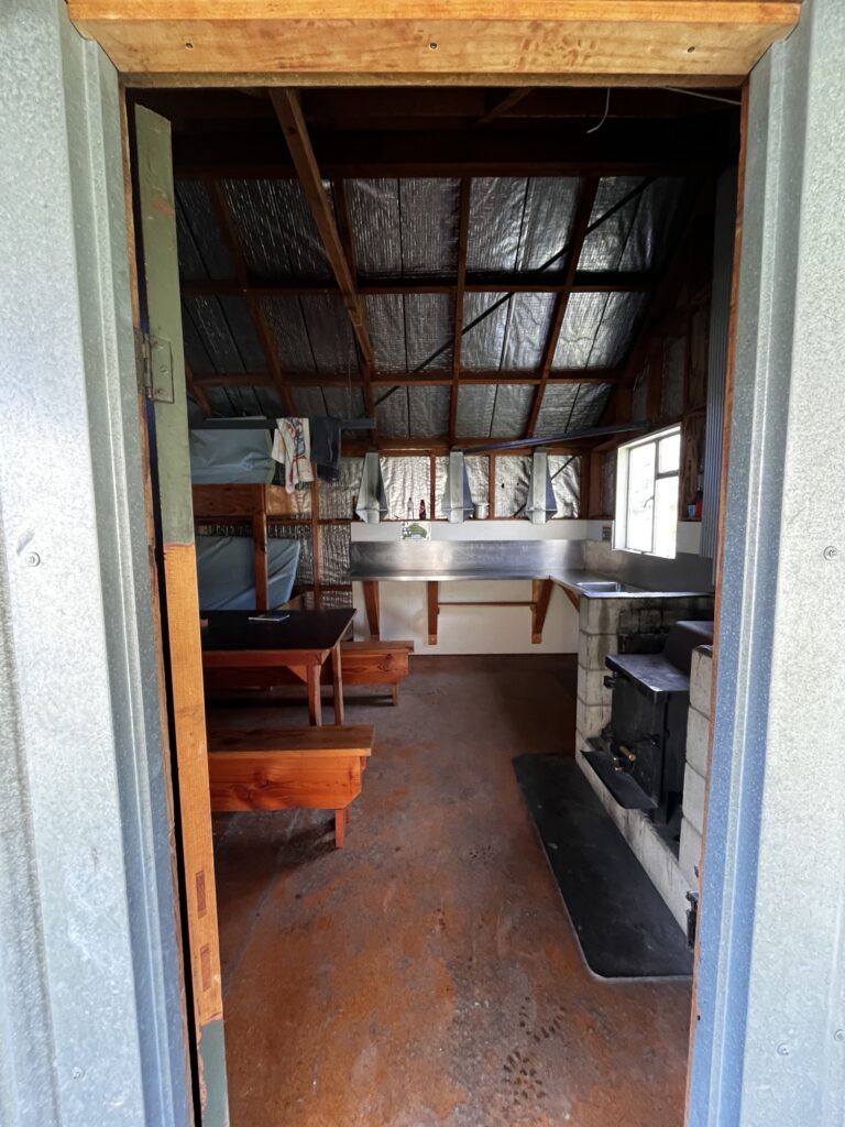 Day 13 - xmas day Img 9290 768x1024