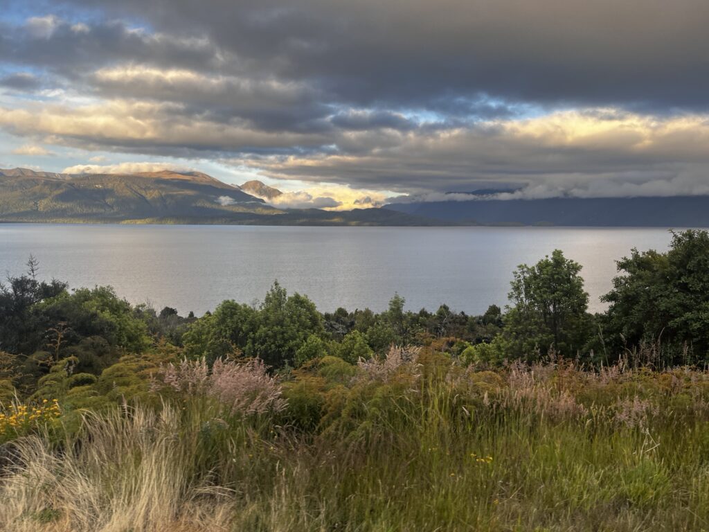 Day 18 - done img 9617.jpg