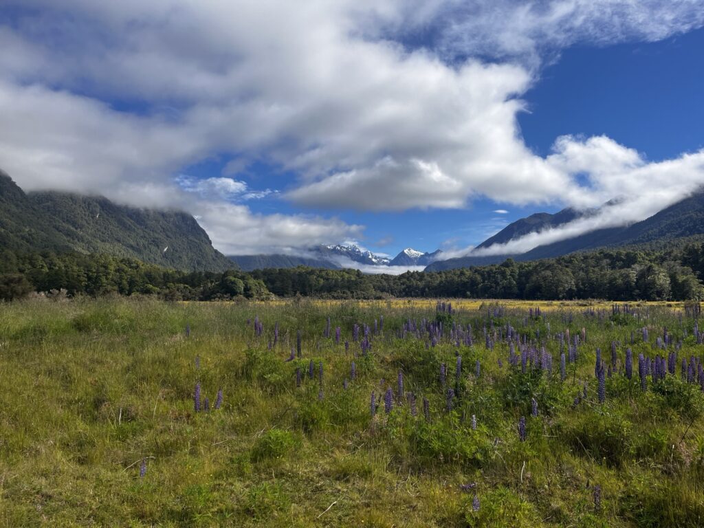 Day 18 - done img 9631.jpg