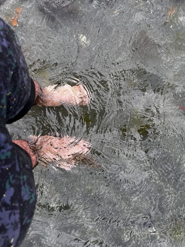 Day 18 - done img 9700.jpg