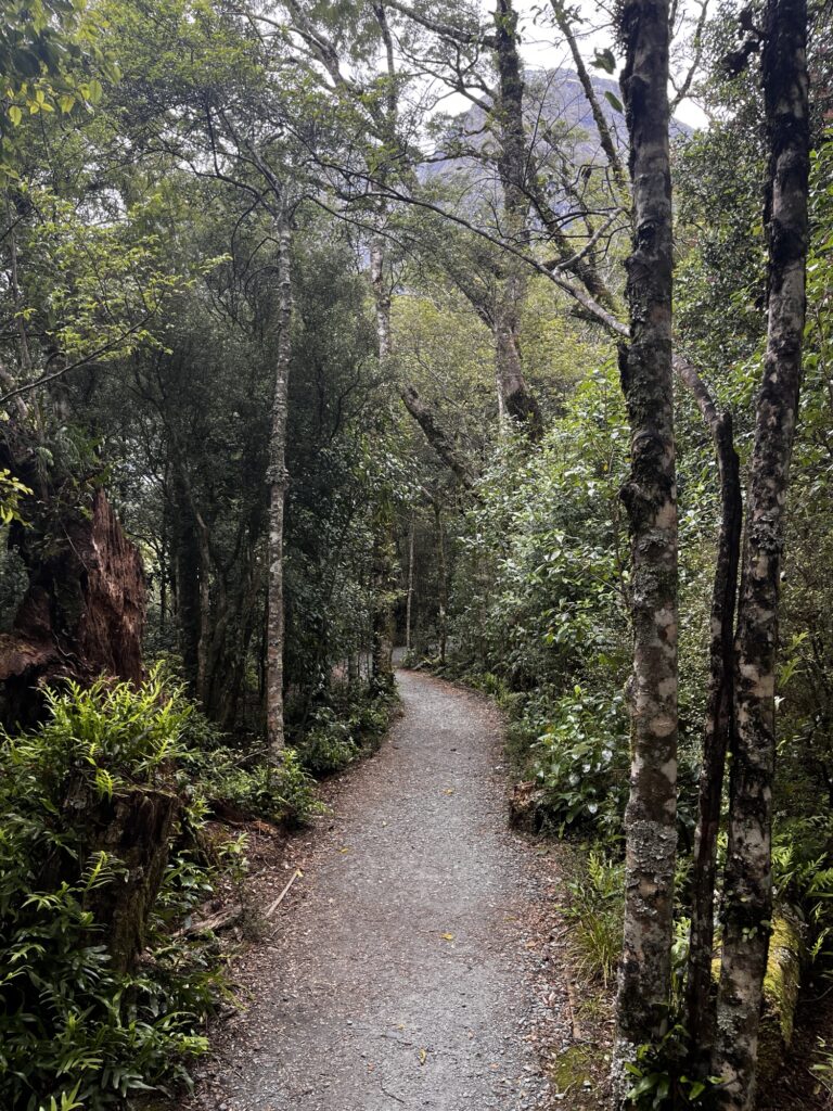 Day 18 - done img 9707.jpg