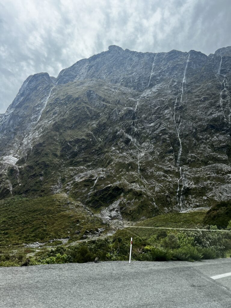 Day 18 - done img 9715.jpg