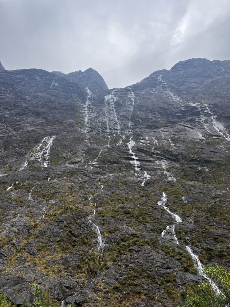 Day 18 - done img 9720.jpg